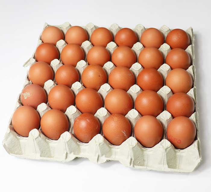 EGGS