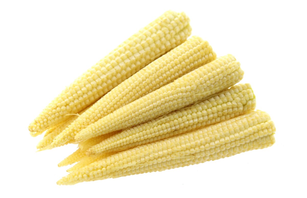 BABY CORN