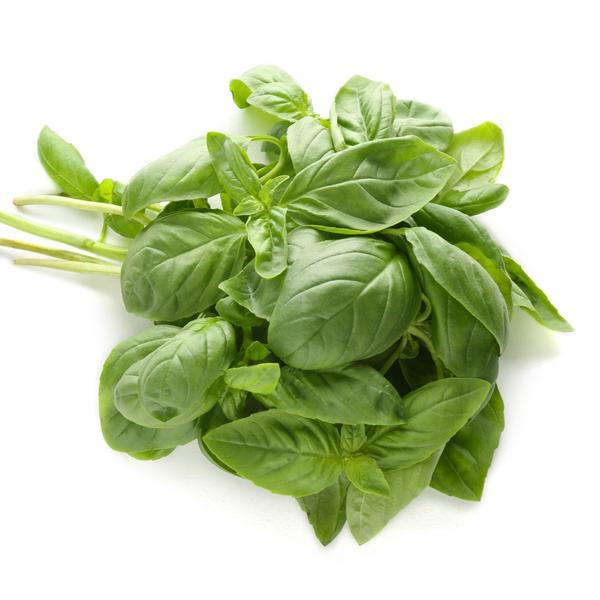 BASIL