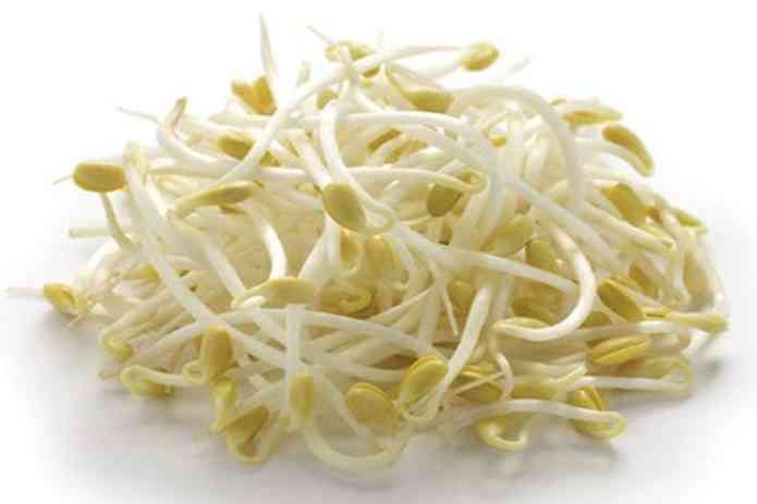 BEAN SPROUTS