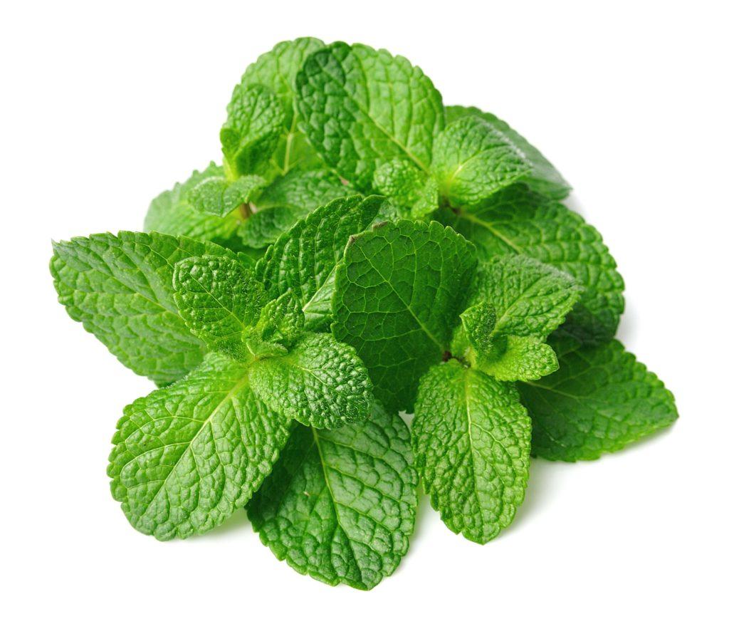 MINT