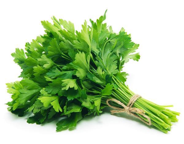 PARSLEY (FLAT)