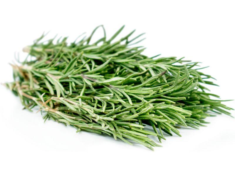 ROSEMARY