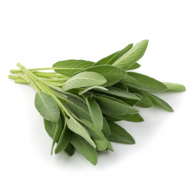 SAGE