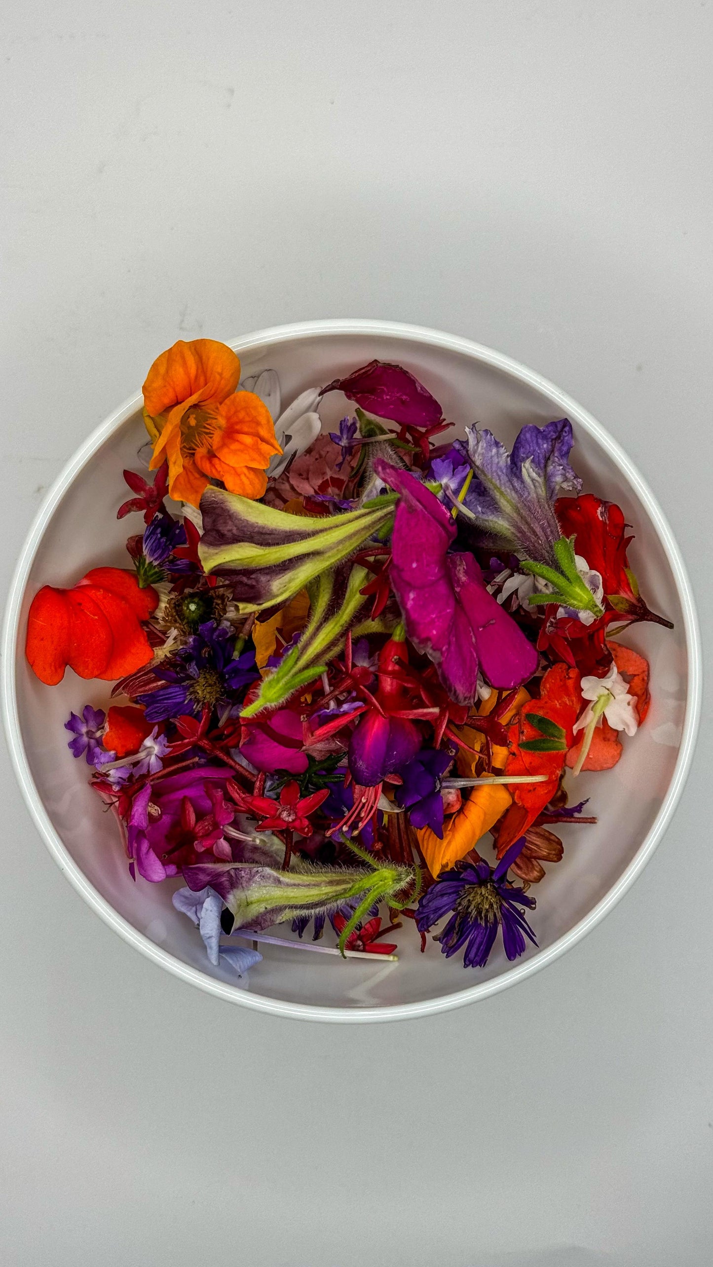 EDIBLE FLOWERS