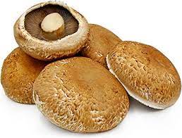 MUSHROOM (PORTOBELLO)