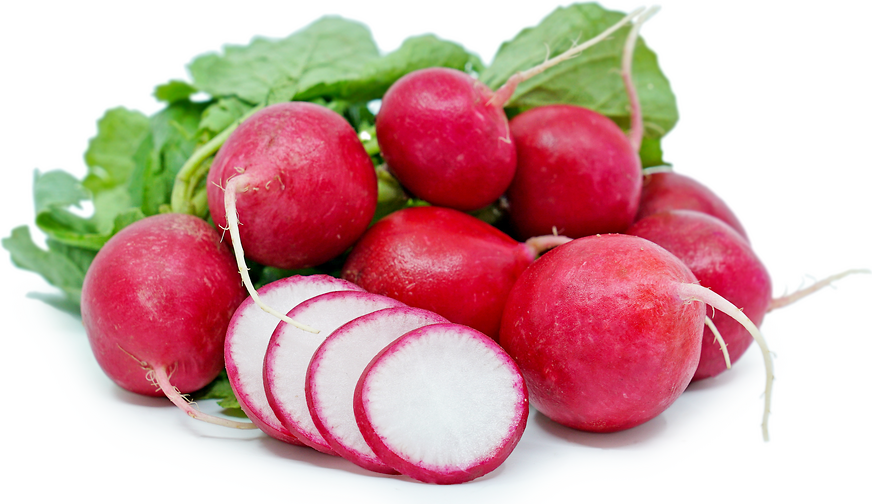 RADISH (RED)