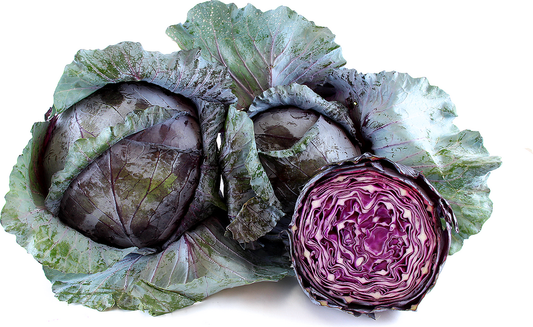 CABBAGE (RED)