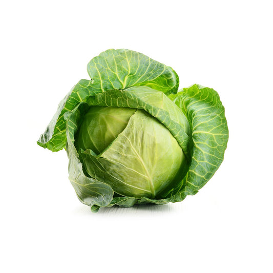 CABBAGE (WHITE)