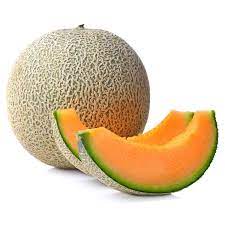 CANTALOUPE MELON