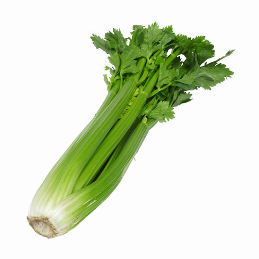 CELERY