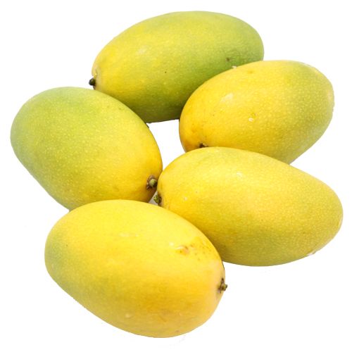 MANGO (NGOWE)