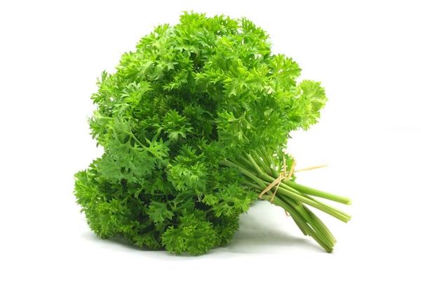 PARSLEY (CURLY)