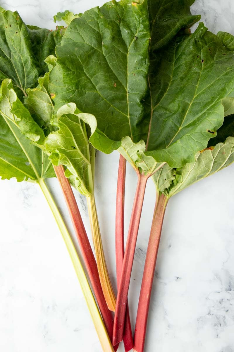 RHUBARB